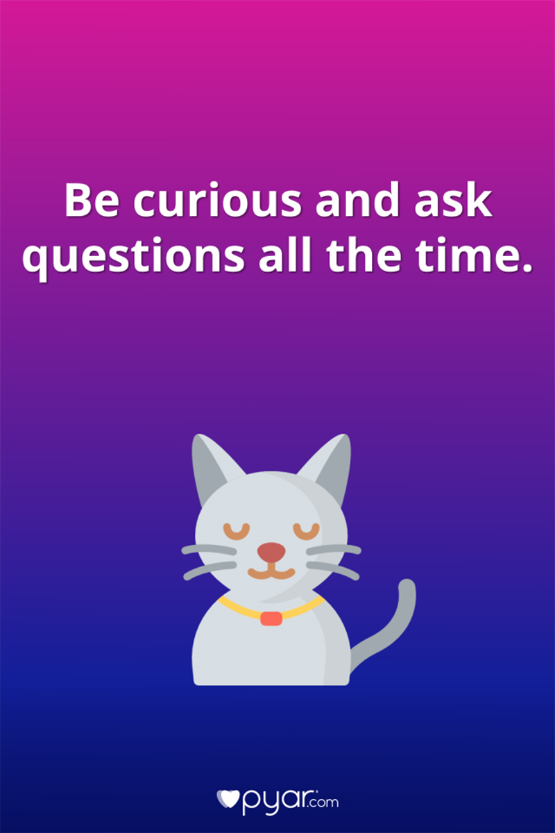 Be curious and ask questions all the time.
