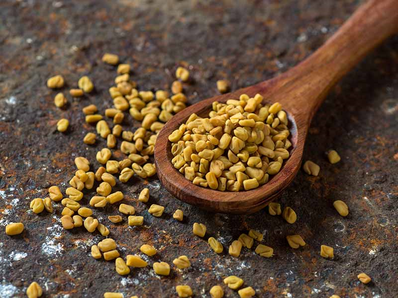 Fenugreek has multiple benefits when used for hair spa